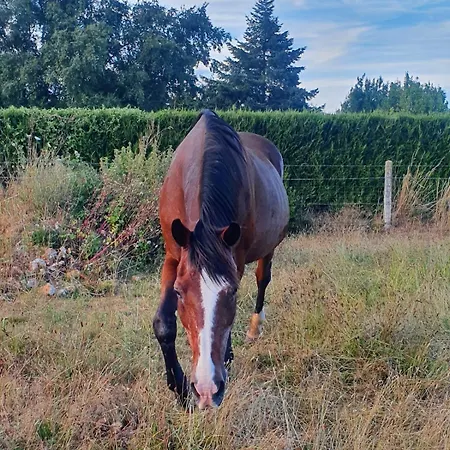 La P'tite Maison Epegard